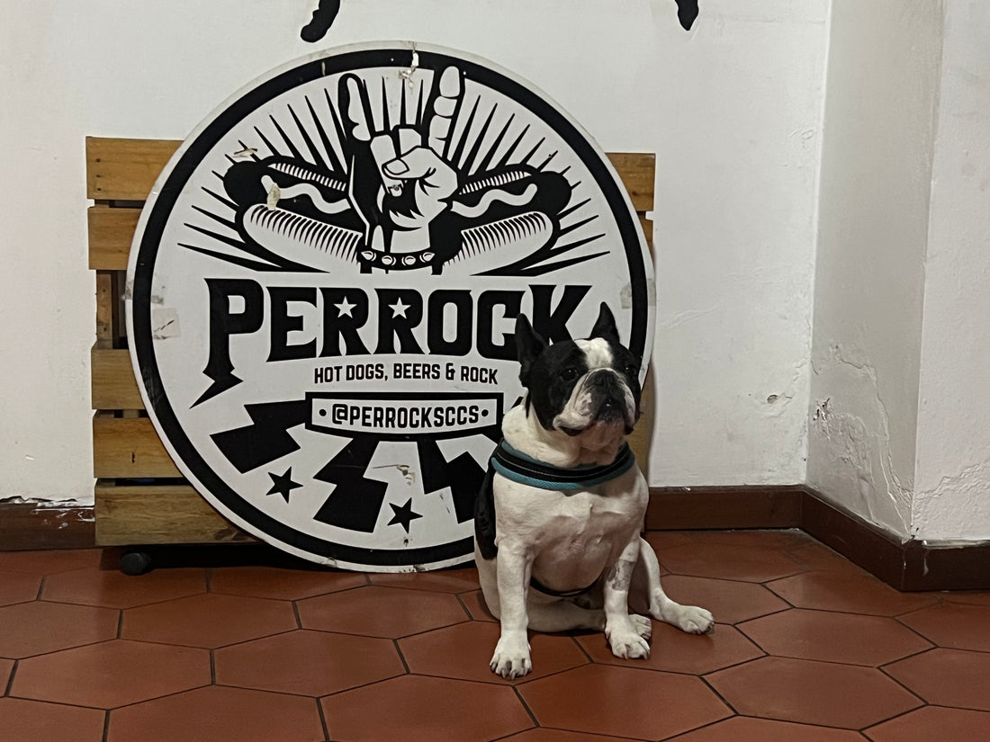 PERROCK